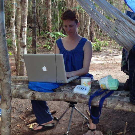 Biologist sitting outdoors using a laptop on stacked branches as a desk. 